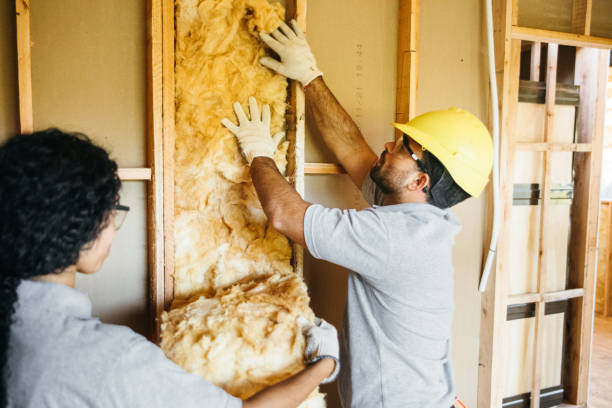 Best Local Insulation Services  in Highland Lakes, NJ